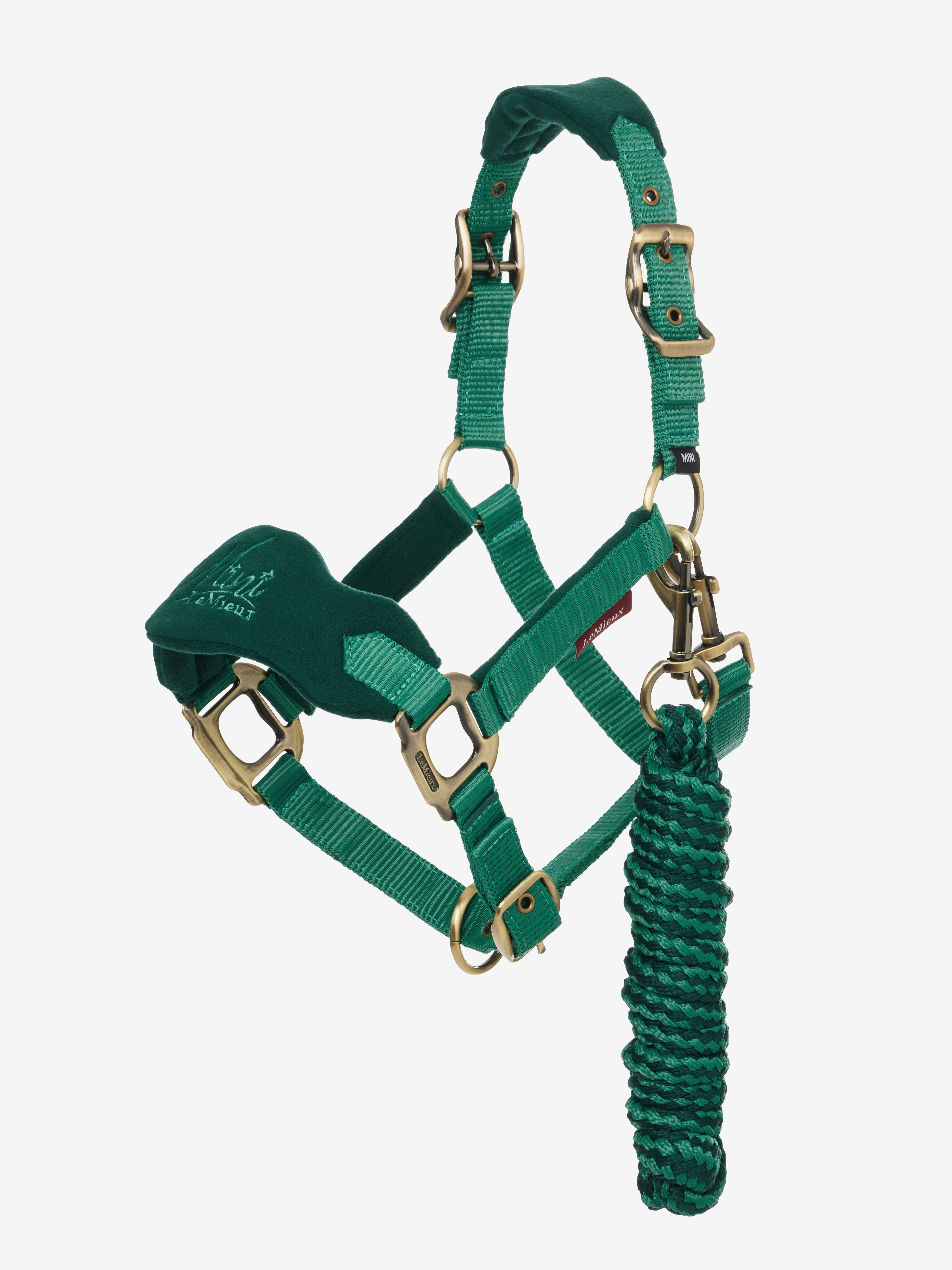 LeMieux Mini Vogue Riimu & Riimunnaru, Evergreen