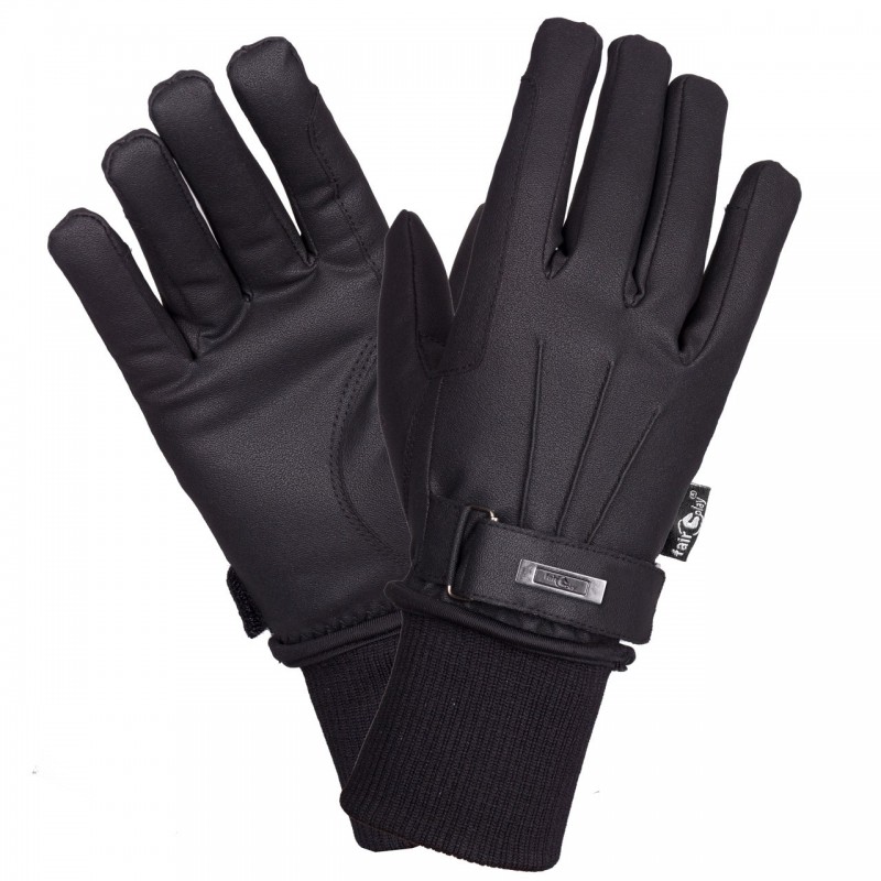 Zema talvihanska Zema talvihanska