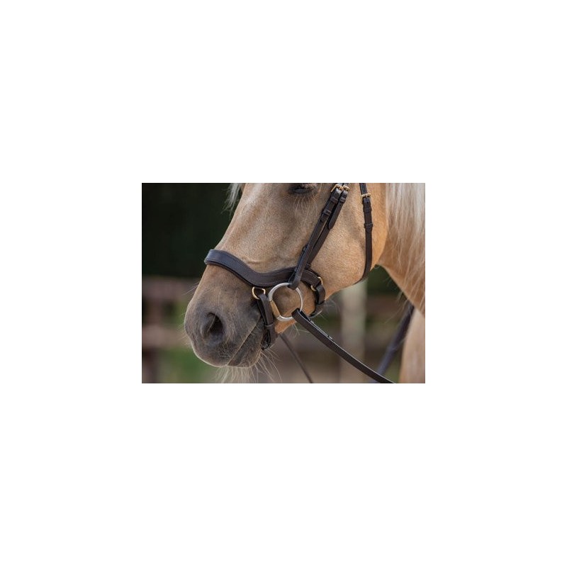 Bridle2Fit Turpahihna J1