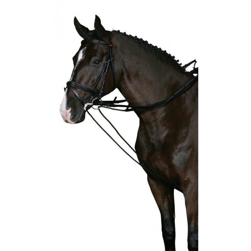 Cheval gramaaniohjat