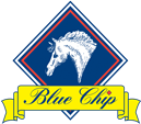 Blue chip