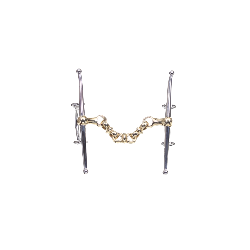 Neue Schule Waterford Nelson