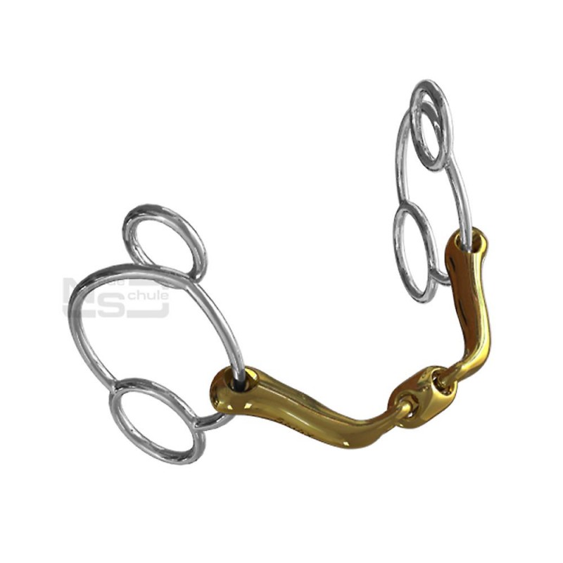 Neue Schule Verbindend Universal