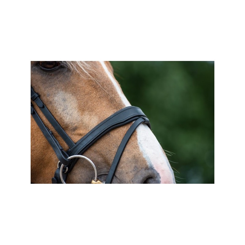 Bridle2Fit Turpahihna S4