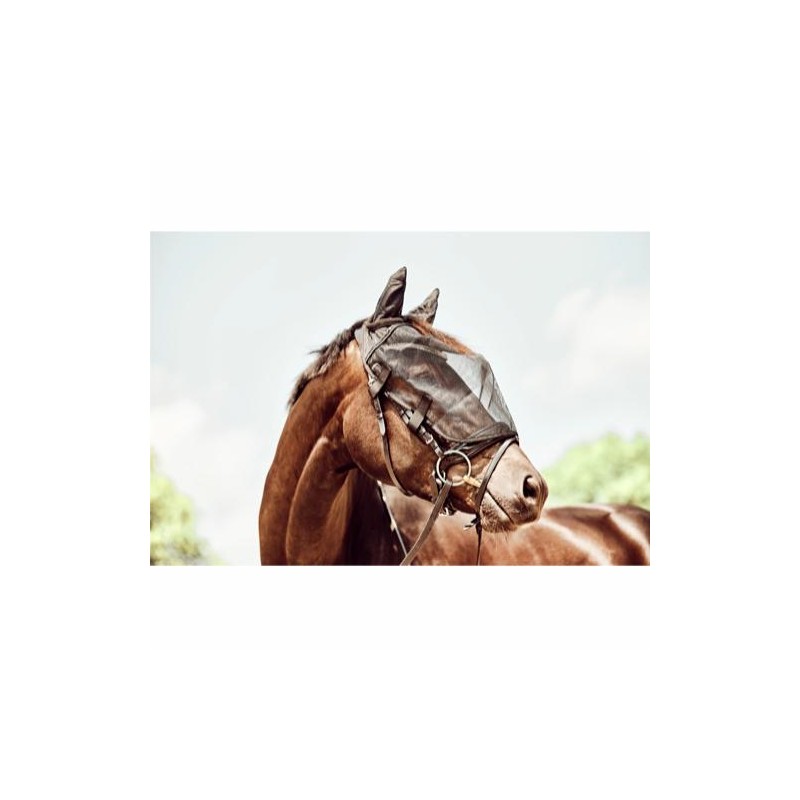 HG Ötökkämaski suitsille /Pony HG Ötökkämaski suitsille /Pony