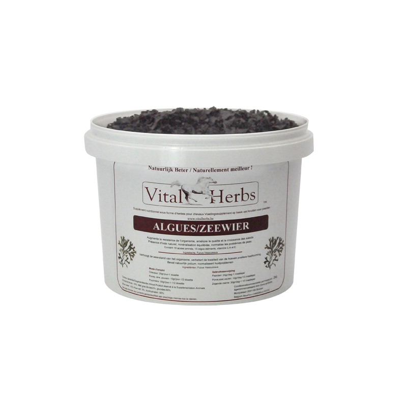 Vital Herbs Seaweed - Merilevä