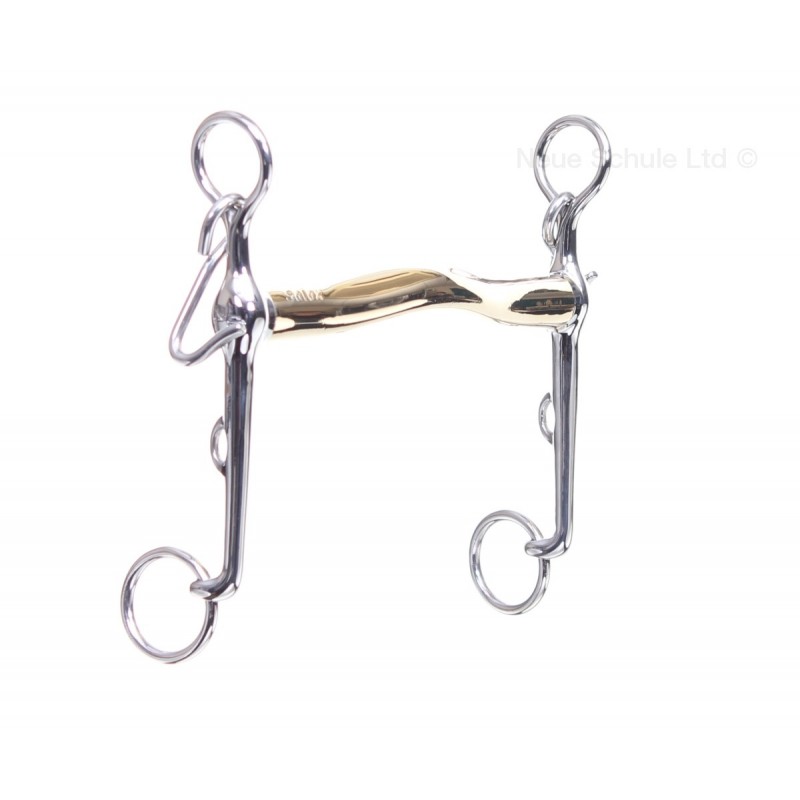 Neue Schule Aachen kankikuolain Neue Schule Aachen kankikuolain