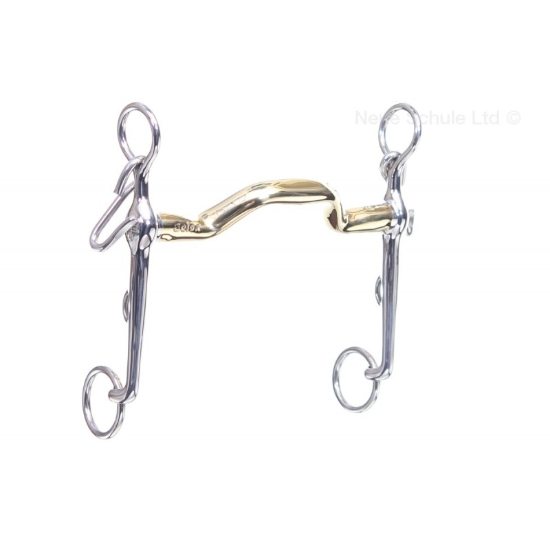 Neue Schule Warmblood kankikuolain