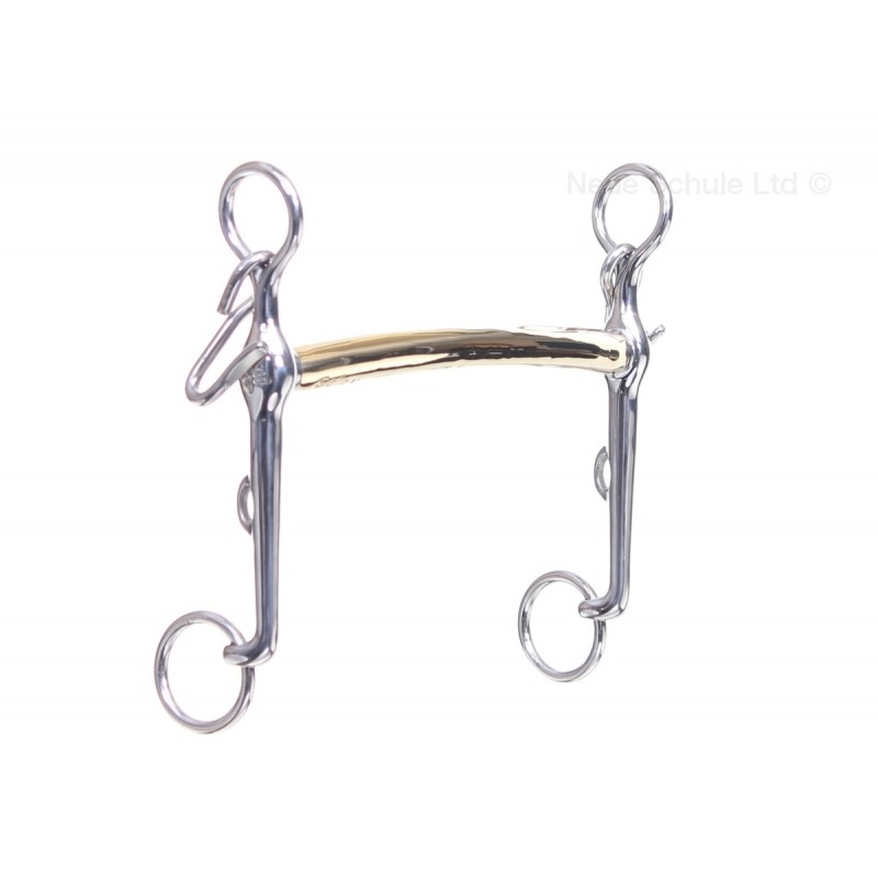 Neue Schule Thoroughbred kankikuolain Neue Schule Thoroughbred kankikuolain