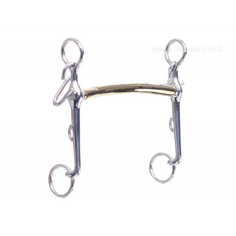 Neue Schule Transform kankikuolain