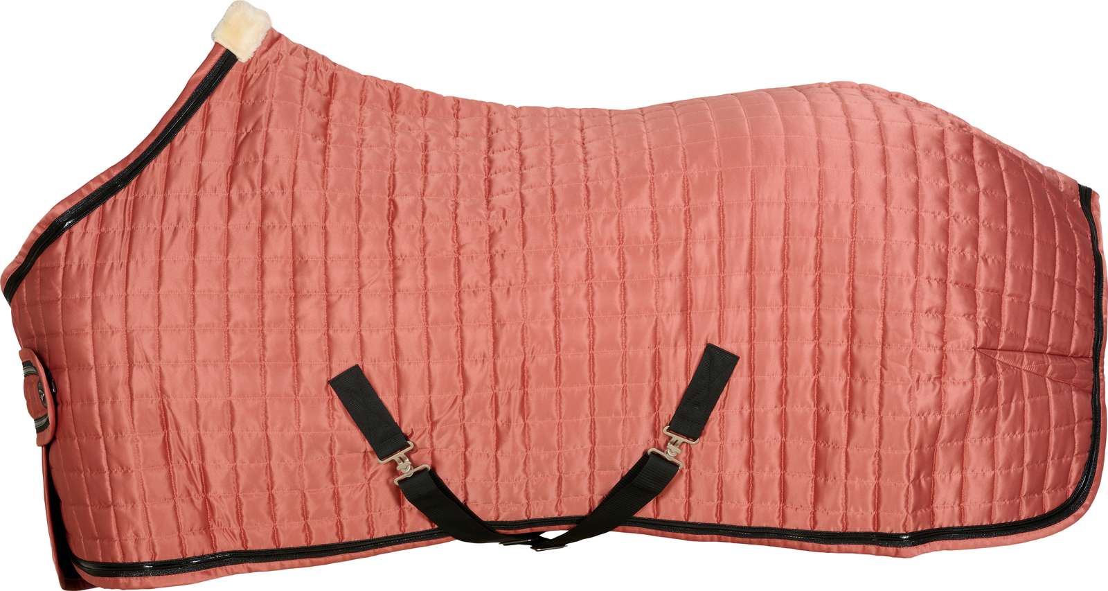 CATAGO FIR-Tech Elegant talli/showloimi / 145&155cm