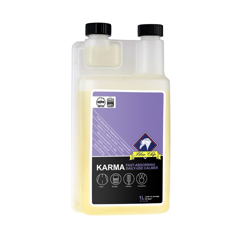 Blue Chip Karma / LOPPUU
