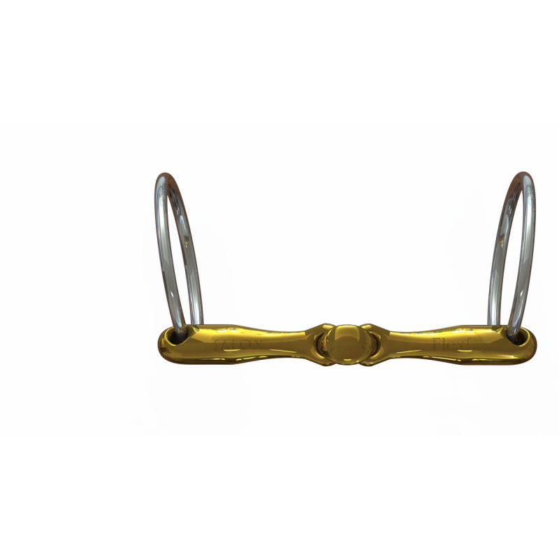 Neue Schule Turtle Tactio
