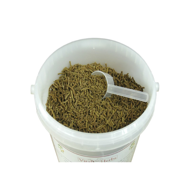 Vital Herbs Biotine Strong-biotiini