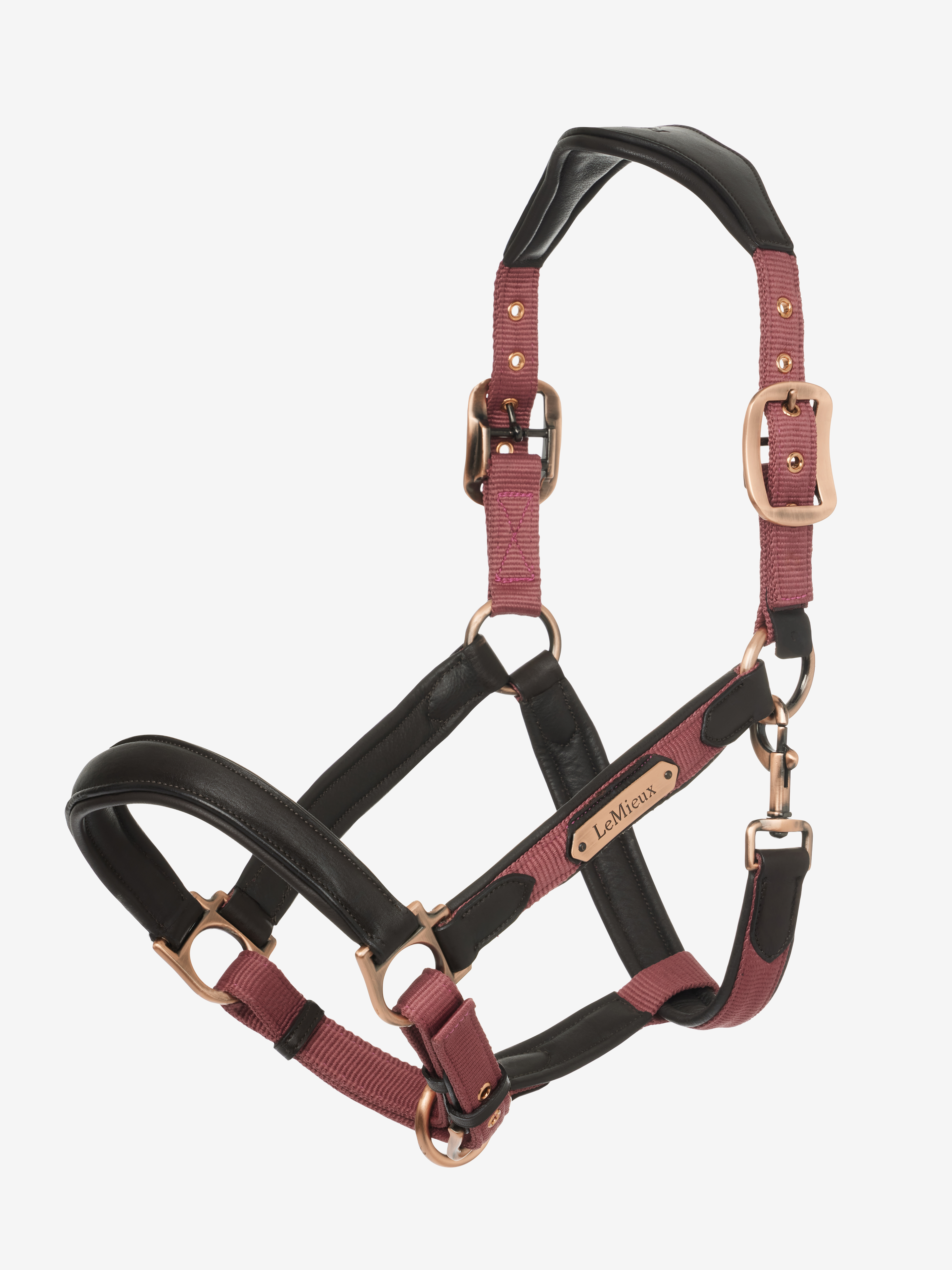 LeMieux Capella riimu AW23