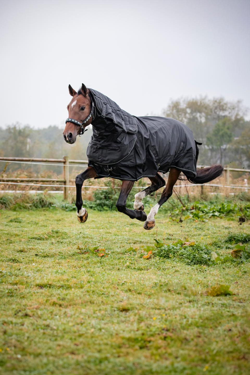 CATAGO Endurance 2.0 1680D ulkoloimi, 150g