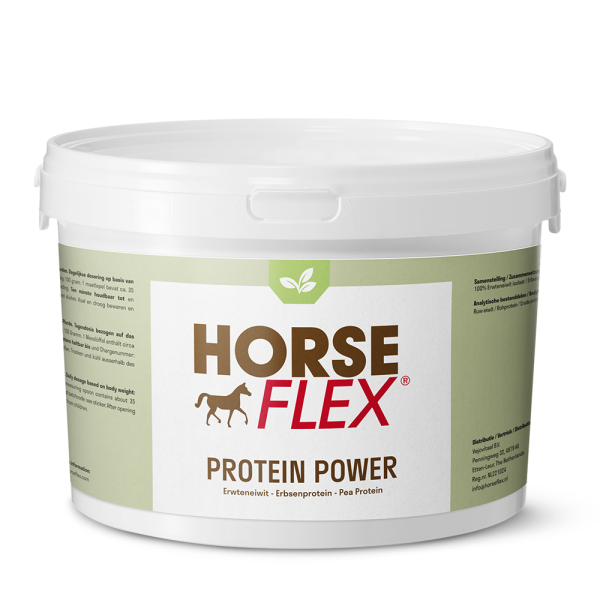 HorseFlex Proteiini power