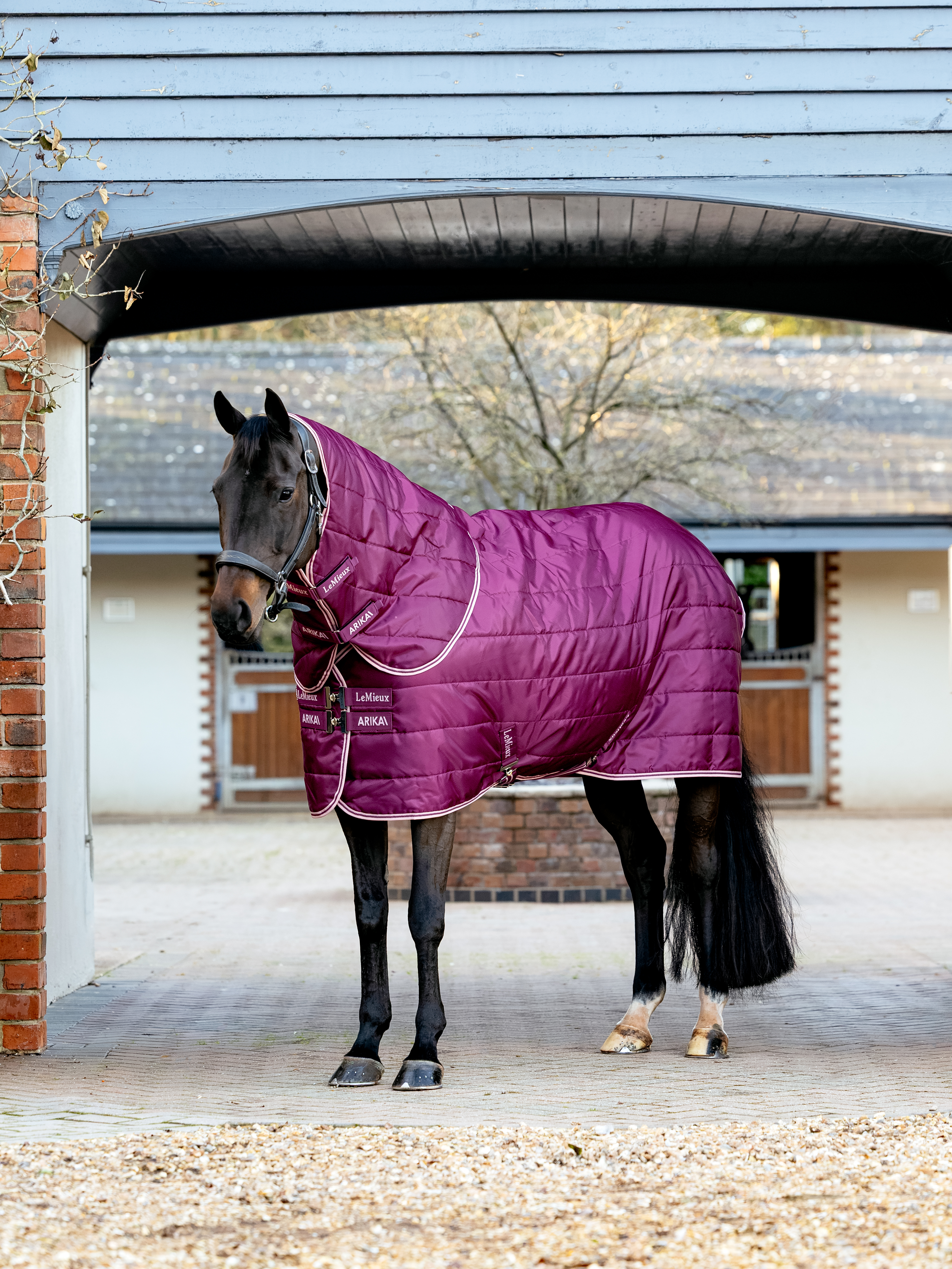 LeMieux Arika Stable-Tek Blackberry talliloimi 200g