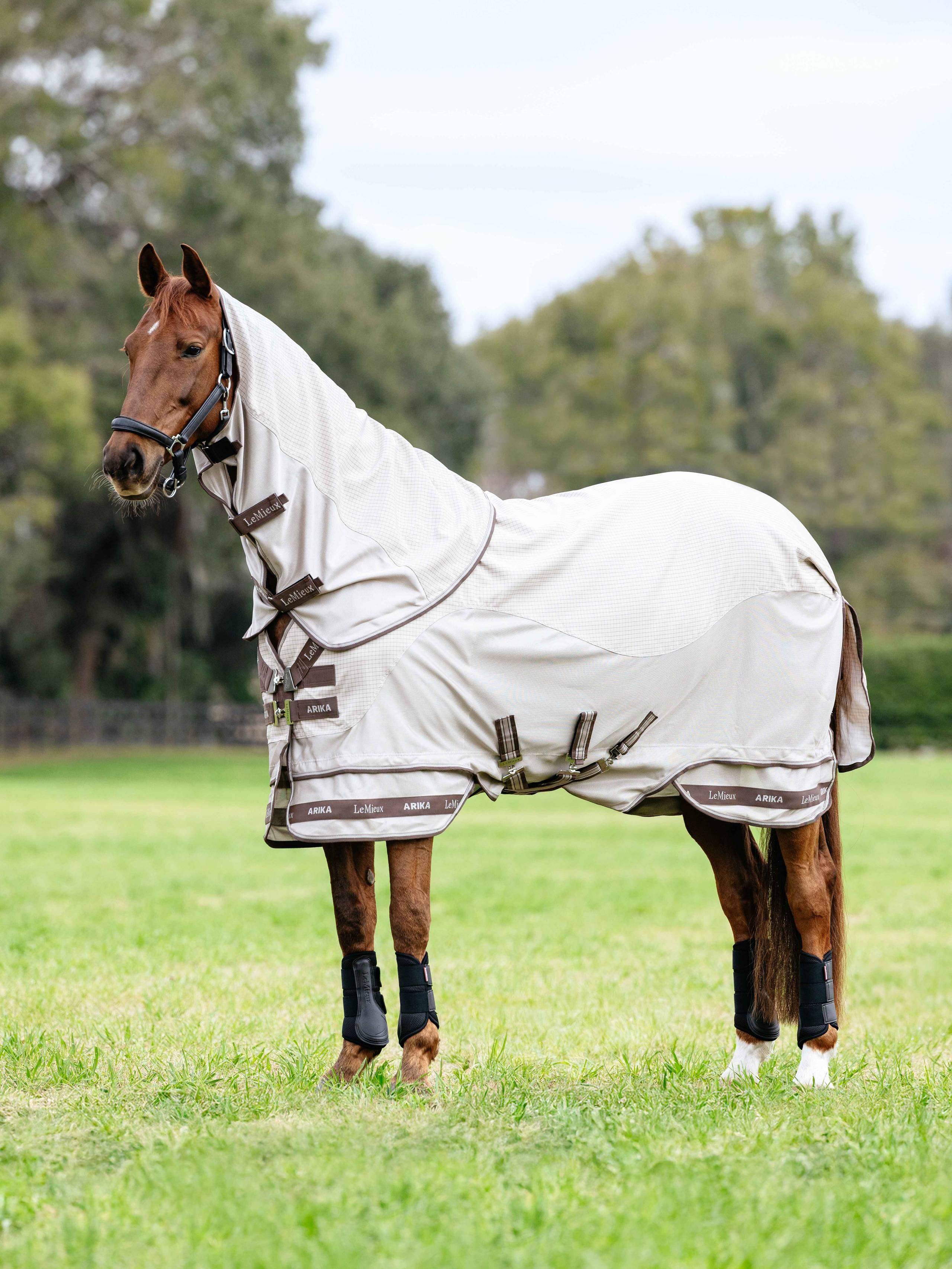 LeMieux Arika Sunstopper loimi