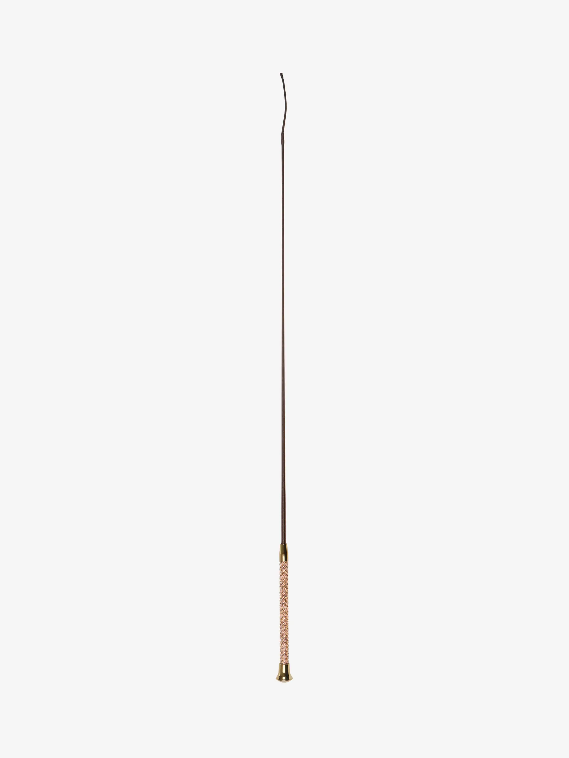 LeMieux Brilliance kouluraippa