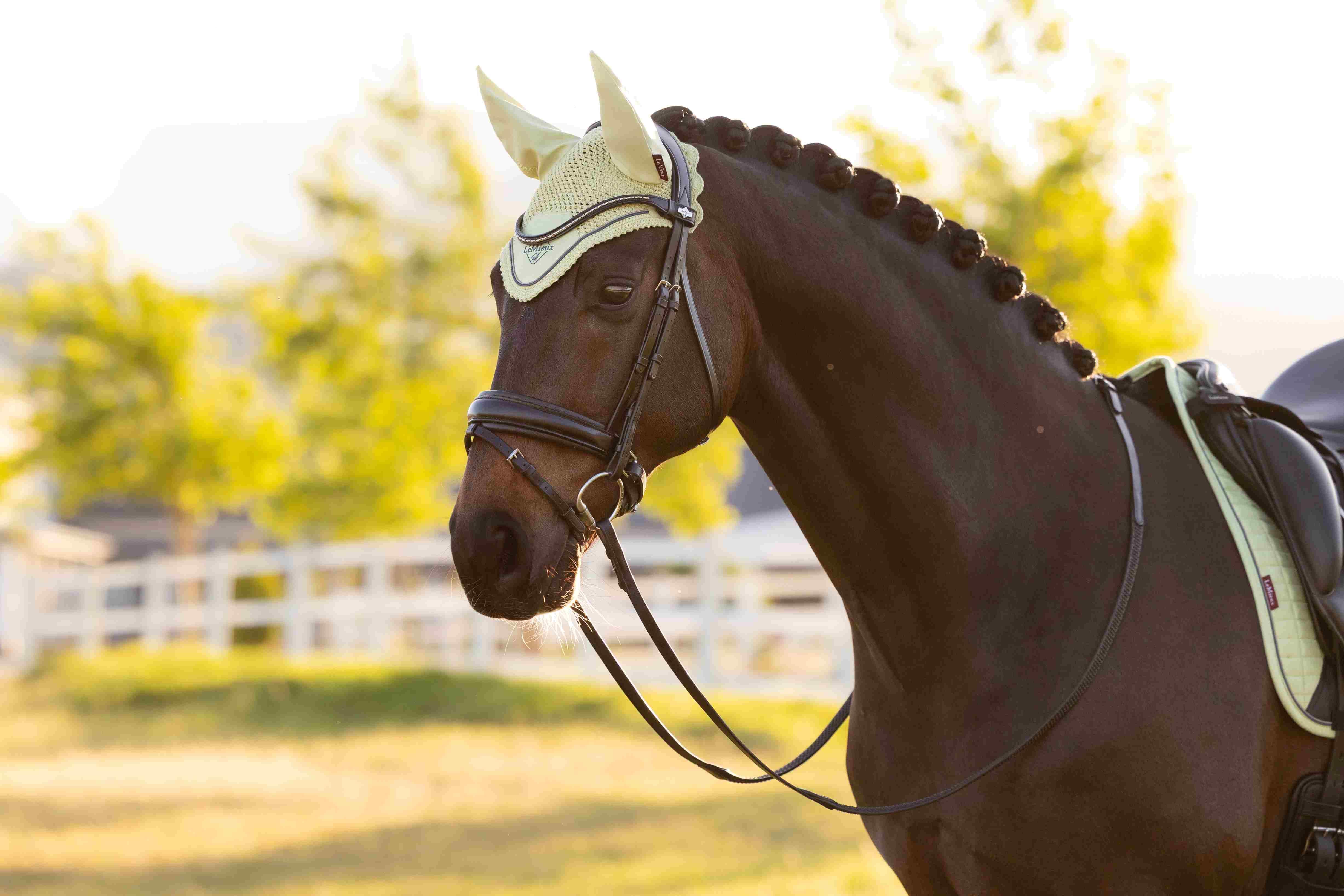 LeMieux Classic korvahuppu SS26
