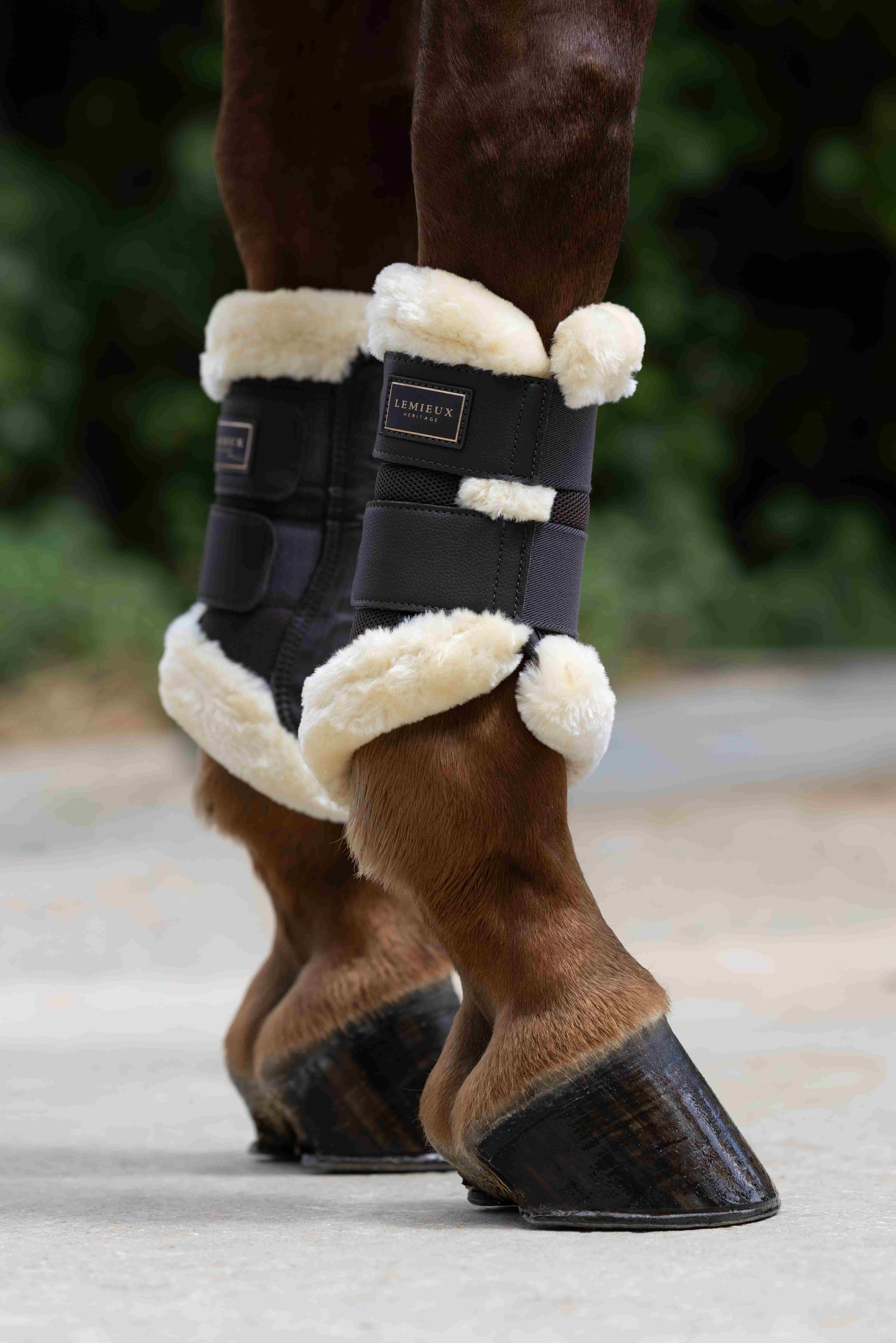 LeMieux Heritage Mesh suojat fleecekarvareunalla
