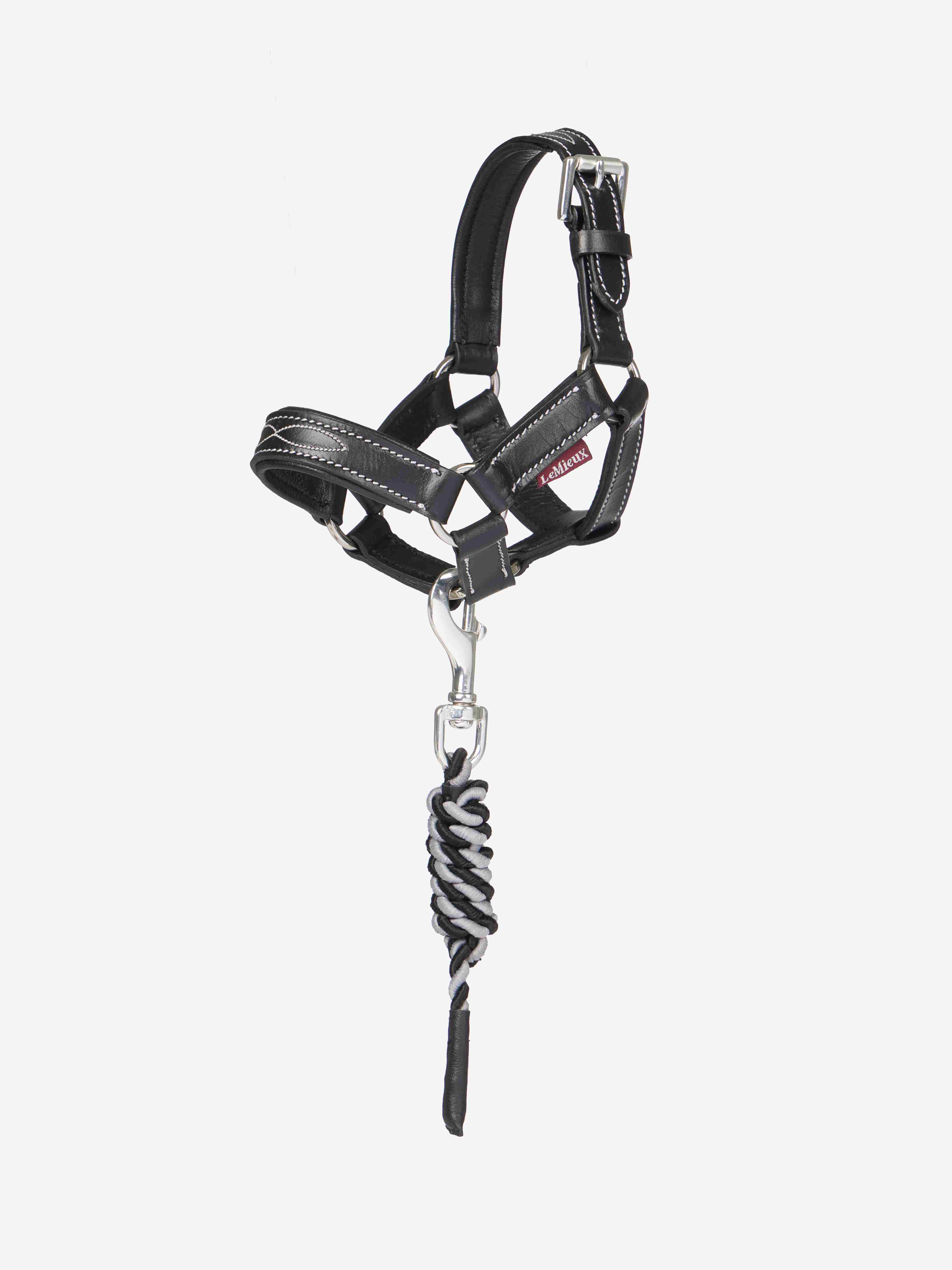 LeMieux Leluponi nahkariimu