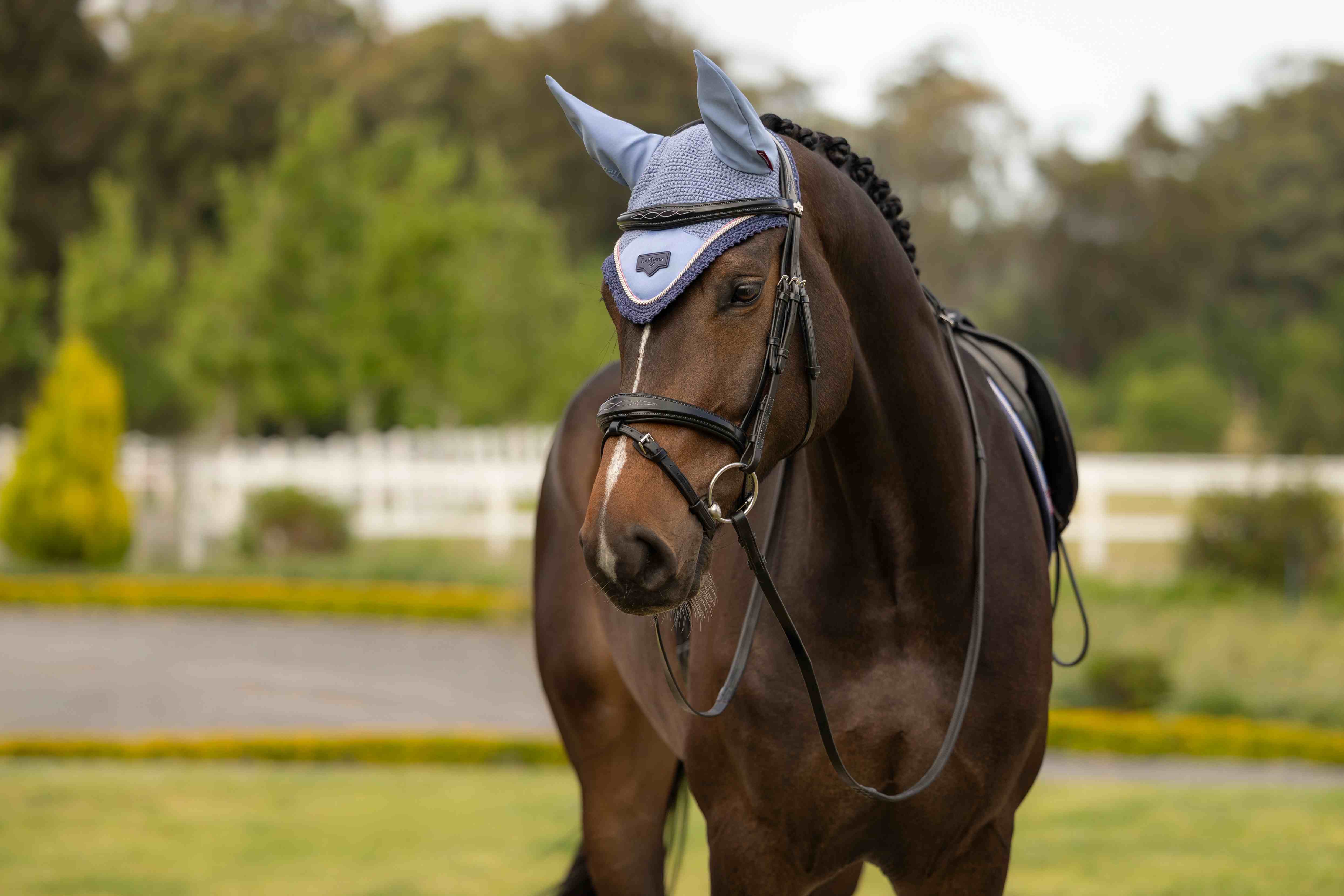 LeMieux Loire korvahuppu SS26