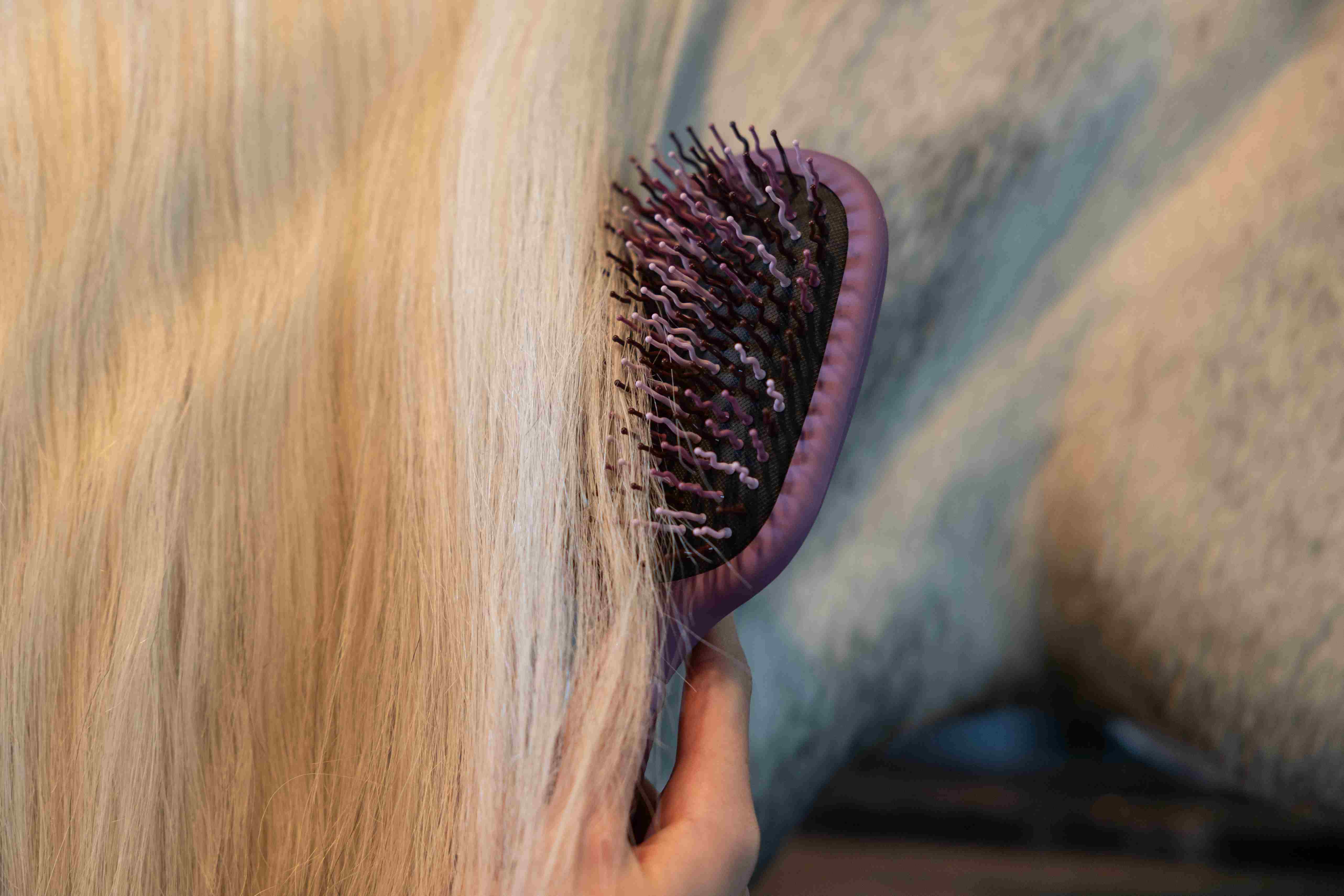 LeMieux Tangle Tidy jouhiharja