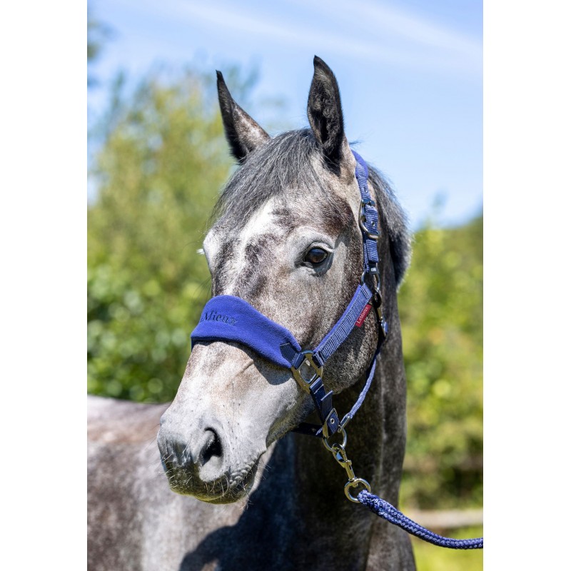 LeMieux Vogue Riimu & Riimunnaru, Ink Blue
