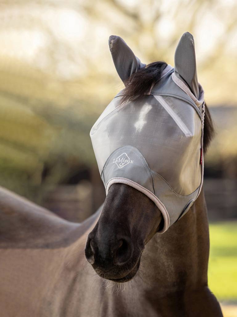 LeMieux ArmourShield Pro Half ötökkähuppu