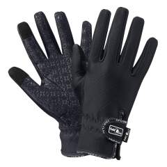 FP Arsuk Talviratsastushanskat