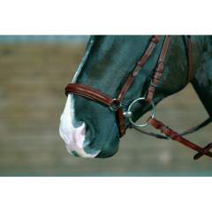 Cheval hannover turpahihna