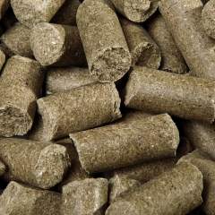 SPEED Speedies EUKALYPTUS 5kg