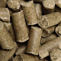 SPEED Speedies PURE APPLE 5kg