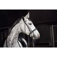 CATAGO Santo Kankisuitset, pyöristetty