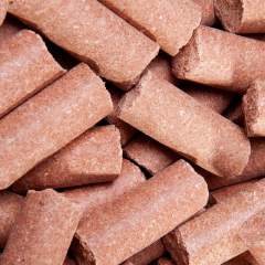 SPEED Speedies MANSIKKA 06/25