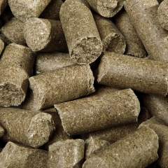 SPEED Speedies EUKALYPTUS 07/25