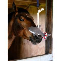 LeMieux Hevosen karsinalelu