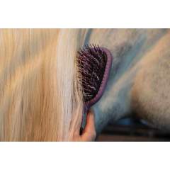 LeMieux Tangle Tidy jouhiharja