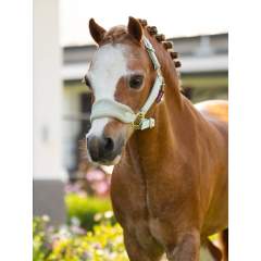 LeMieux Mini Vogue Riimu & Riimunnaru