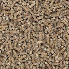 SPEED N° 1 Original kivennäinen Päiväys 12/24